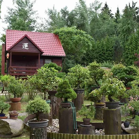 Ogrod Shinrin Yoku Odpoczynek W Lesie *