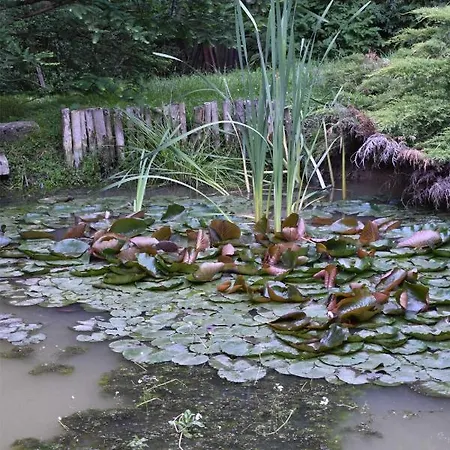 Casa vacanze Ogrod Shinrin Yoku Odpoczynek W Lesie