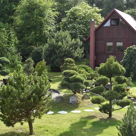 Ogrod Shinrin Yoku Odpoczynek W Lesie *