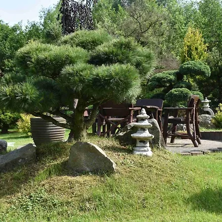 Casa vacanze Ogrod Shinrin Yoku Odpoczynek W Lesie