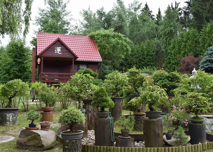 Ogrod Shinrin Yoku Odpoczynek W Lesie *