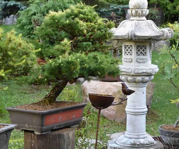 Ogrod Shinrin Yoku Odpoczynek W Lesie * Srokowo