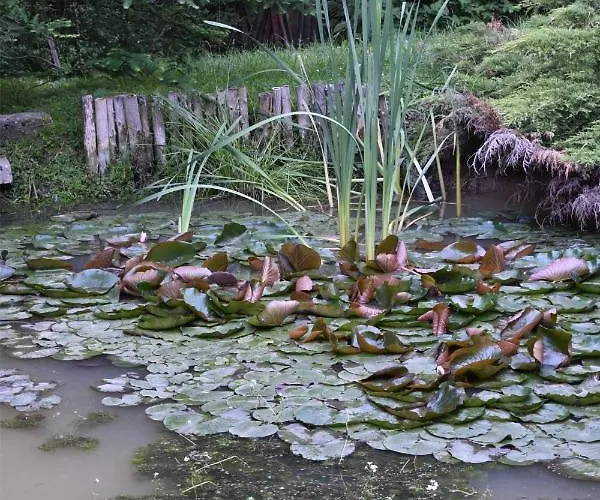 Дом отдыха Ogrod Shinrin Yoku Odpoczynek W Lesie