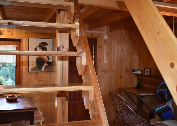 Ogrod Shinrin Yoku Odpoczynek W Lesie * Srokowo