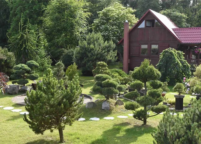 Ogrod Shinrin Yoku Odpoczynek W Lesie *